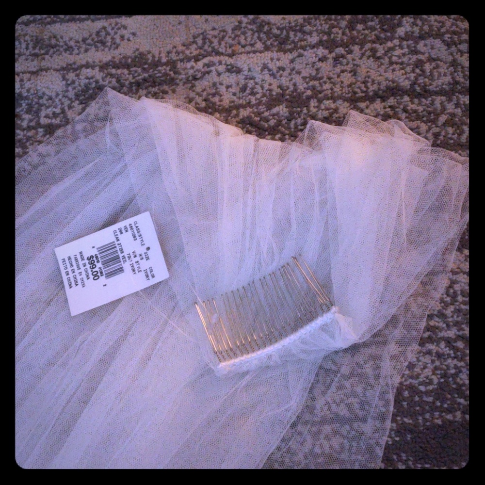 David's bridal veil